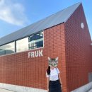 프룩(FRUK) 이미지