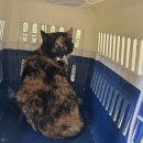 북원로4 이미지