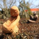 보리하우스 이미지