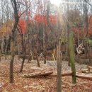 인헌동-25 이미지