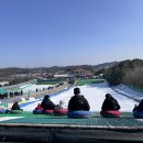 김포시썰매장식당 | 김포사계절썰매장 겨울 썰매 후기