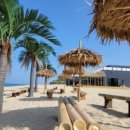 나인비치37 이미지