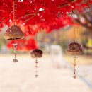 하박국식당 이미지