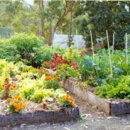 기업농장 이미지