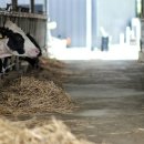 두지목장 이미지