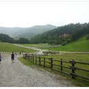 한일목장 이미지