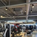 영자피트니스 서초점(골프) | [이수역 헬스장] 2년 넘게 다닌 이수역 헬스장 솔직 후기 / 영자 피트니스