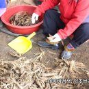약초브라더스