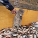 오늘버거 이미지