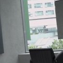 머리하는,나