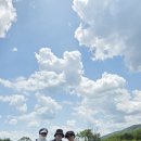 화천 장미 파크골프장 (2026.6.18) 이미지