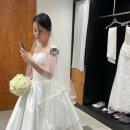 👰🏻‍♀️ 모드니드레스 8월 신상 먼저 입어본 후기｜ 본식드레스 피팅 솔직후기(안젤라, 안나, 메이, 휘)
