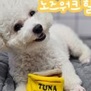 슬기로미