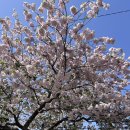 회수동-4 이미지