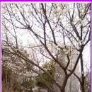 금강온천 이미지