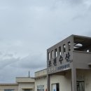 노상하1길 | 제주 조천수산 ∥ 야장 맛집 황돔 포장 후기 (강민경 맛집)