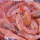 당암수산물 이미지