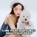 예송 이미지