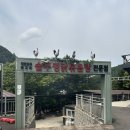 올림픽밸리 | 가평 맛집 솥뚜껑 닭볶음탕 올림픽밸리 가평 본점 다녀온 후기