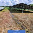 서산 태양광발전소 이미지