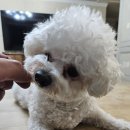 올데이 멍데이 이미지