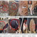 주간농사정보 45호