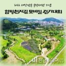 함평천지길 이미지