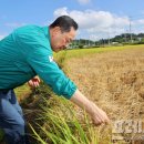 정기농약사 이미지