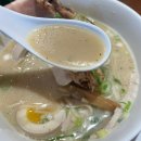[멘지]대전 둔산동 라멘 맛집 멘지 대전둔산점