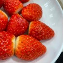 스테이라네 | 청도 애견동반 숙소 '스테이더문' 내돈내산 후기 &amp; 꿀팁