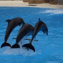 북구청소년회관 이미지