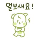 피오니 헤어