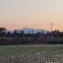 월정 산도롱펜션 이미지