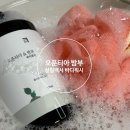 워시뷰 | 바디워시 추천 템, 향수 바디워시 추천 `살림백서 오푼티아밤부 바디워시` 솔직 후기