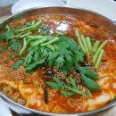 총각국수 Daum카페