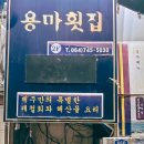 용마횟집 티스토리