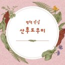 평택 안성 해피케어 이용후기 교육