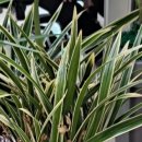 하남파출소 이미지