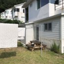 대피소 울릉 이미지