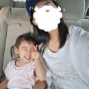JJ게스트하우스 | 싱가포르 <-> 말레이시아 조호바루 국경 이동 픽업 밴 이용 후기 (업체 비교, 비용, 만족도, 소요시간)