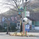 해안반점 이미지