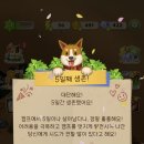 (주)왕왕 이미지