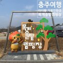 오토오아시스충주문화점 | [충주여행] 아이랑 가기 좋은 목계솔밭 캠핑장 (사이트 추천,남한강산책로,솔밭매점,샤워시설,자전거...