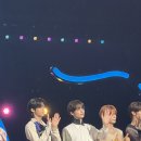 요조 | [일상] 더 시즌즈 10cm의 쓰담쓰담 당첨 후기 (이창섭/요조/우디/투어스 TWS)