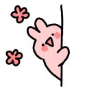 잇땀
