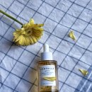 1004마트 | [Review] 스킨1004 마다가스카르 센텔라 앰플 | 진정앰플 | 민감성 피부