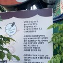 파블로베이커리 이미지