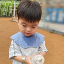 붕붕카세차장 이미지