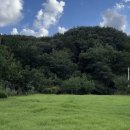 방동가든 | 대전 비브레스가든 웨딩 상담후기