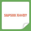 에스엔피(S&P)